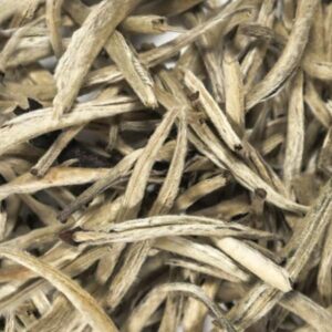 Trà Shan Tuyết Cổ Thụ Cao Cấp