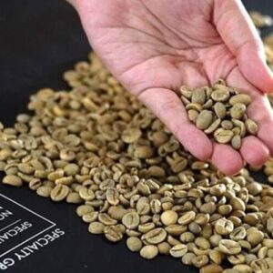 Cà Phê Arabica Cao Cấp Xuất Khẩu