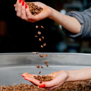 Cà Phê Robusta Xuất Khẩu Cao Cấp